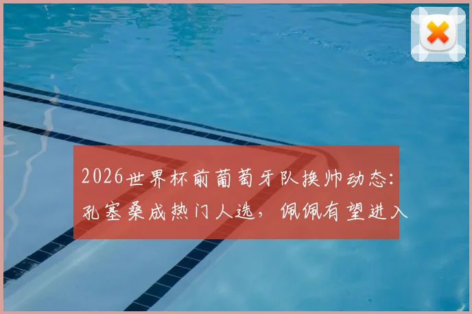 2026世界杯前葡萄牙队换帅动态:孔塞桑成热门人选,佩佩有望进入教练组助阵